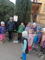 Jaro ťuká na vrátka  a je tady procházka