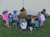 Lesní pedagogika ve školce