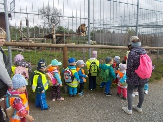 Špuntíci v ZOO