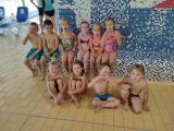 Plavecká škola předškoláků