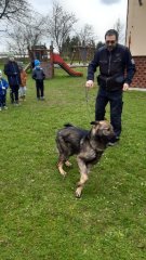 Ukázka výcviku policejního psa