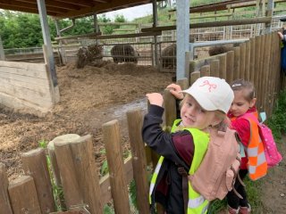 Výlet do ZOO Větrovy