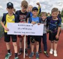 Fotbalový turnaj McDonalds Cup - krajské finále