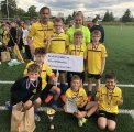 Fotbalový turnaj McDonald´s Cup - krajské finále