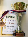 Fotbalový turnaj McDonald´s Cup - krajské finále