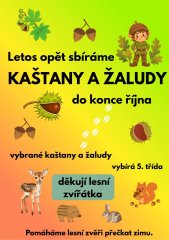 Sbíráme kaštany a žaludy