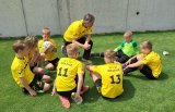 Fotbalový turnaj McDonalds Cup - krajské finále