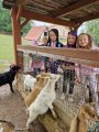 Za zvířaty do Zoo Na Hrádečku