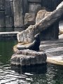 ZOO Praha