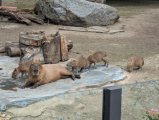 ZOO Praha